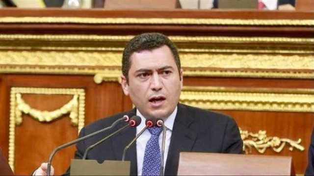 محمد السلاب: ضوابط صناعة الغذاء أمر مهم لتعلقه بصحة المواطنين