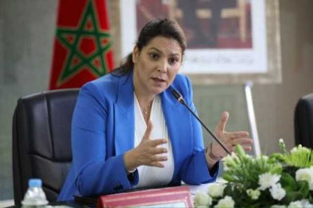 المنصوري: برنامج الدعم المباشر لاقتناء السكن سيكلف 9.5 مليار درهم سنوياً