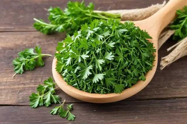 البقدونس: كنز غذائي لصحة كبار السن والمفاصل