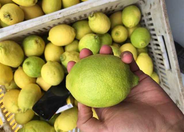 الليمون بأسعار نارية.. بدائل بسيطة تحافظ على الطعم وتخفف الكلفة