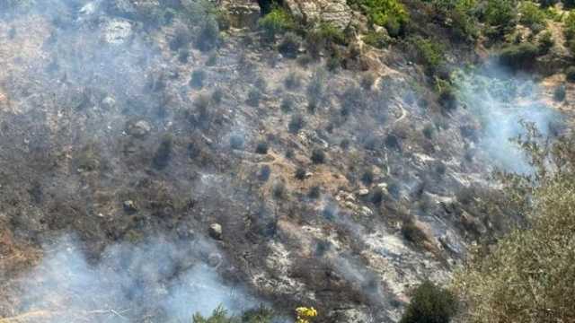 حريق يأتي على 6 دونمات من الأشجار المثمرة في عجلون
