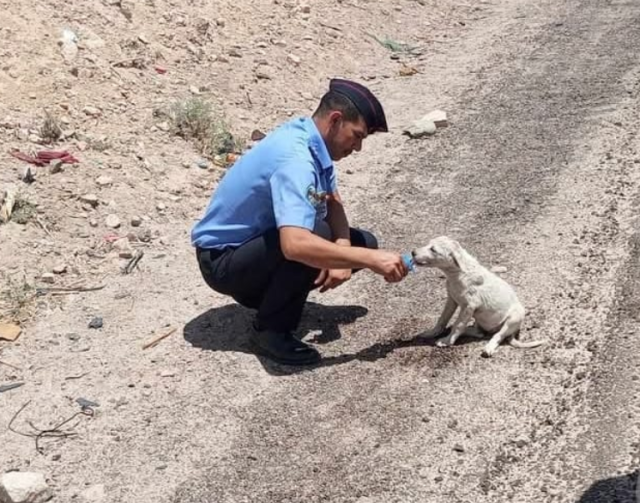 صورة لضابط أمن أردني يسقي كلبا الماء في الأجواء الحارة