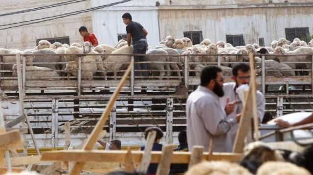 180 طبيب بيطري أردني يشرفون على 4 مسالخ في مكة