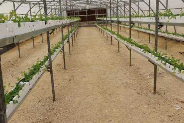 “المهندسين الزراعيين” في الطفيلة تثمن القرار الحكومي بتأجير محطة التوانة