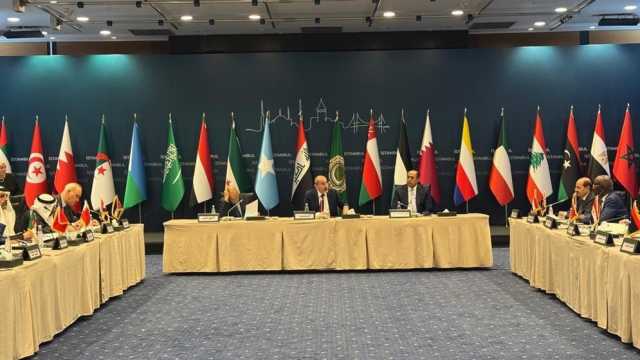 عاجل | عقد اجتماع طارئ لوزراء خارجية الدول العربية في إسطنبول