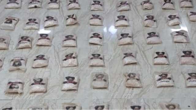 الجيش يحبط تهريب مخدرات عبر بالونات موجهة على الحدود الشرقية