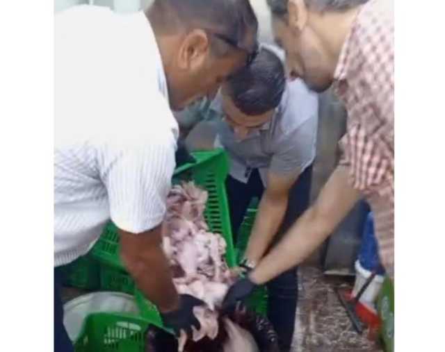 دجاج فاسد مجهول المصدر في الزرقاء