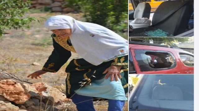 مستوطنون يهاجمون الفلسطينيين خلال قطف الزيتون في نابلس