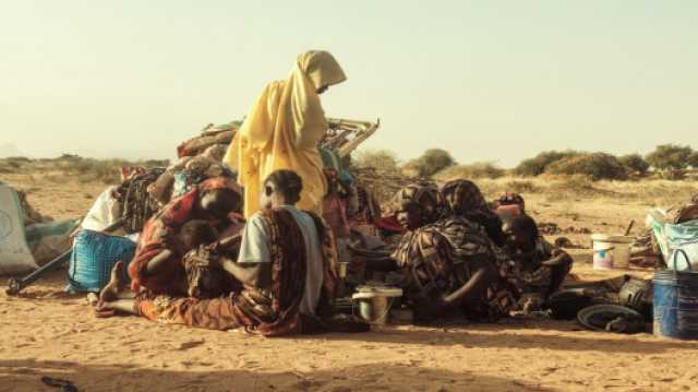 حين يتحوّل جلد البقر إلى طعام.. مأساة سودانية بصمت العالم