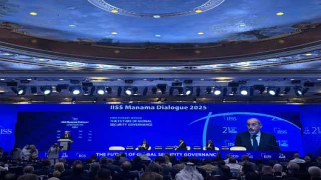 الصفدي: حل الدولتين السبيل الوحيد للسلام العادل