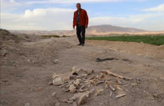 سوريا .. العثور على مقبرة جماعية في حي السحاري بدرعا