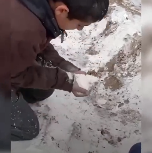 بالفيديو .. غزيّون يجمعون الطحين من الأرض بعد استهداف الاحتلال لشاحنة مساعدات في شمال غزة