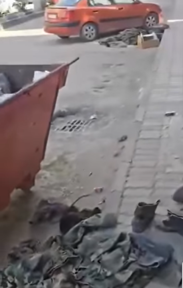بالفيديو .. عناصر فلول النظام الهارب يخلعون ملابسهم العسكرية بعد دخول القوات السورية إلى جبلة