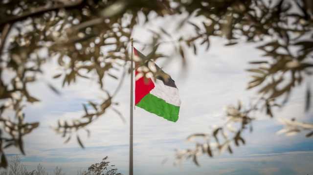 إسبانيا: هناك مؤشرات واضحة على استعداد أوروبا للاعتراف بدولة فلسطينية