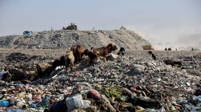 البنك الدولي يدعم مشروع مجلس السلام لإدارة حكم انتقالي في غزة