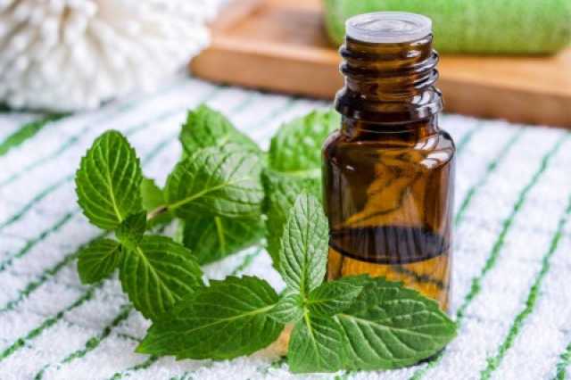 زيت النعناع: سرّ جمالك الطبيعي لبشرة متجددة ومنتعشة