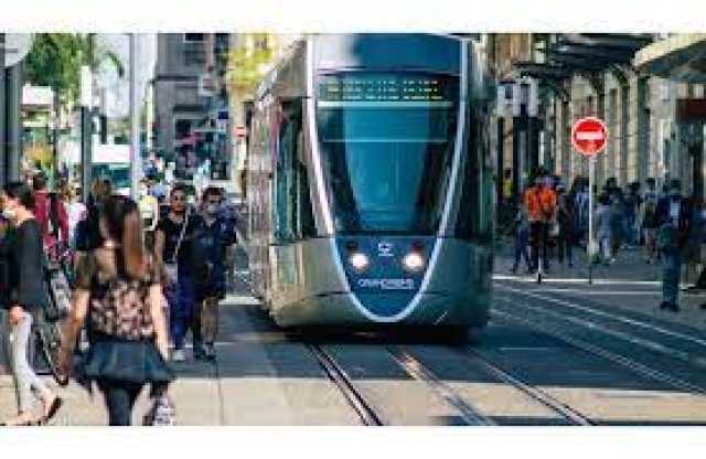 محكمة فرنسية تفرض غرامة على شركة السكك الحديدية بسبب دهس قطة