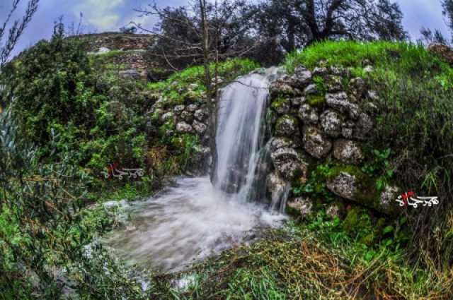“عين الهوية”.. متنفس فلسطيني تاريخي مهدد بالسلب
