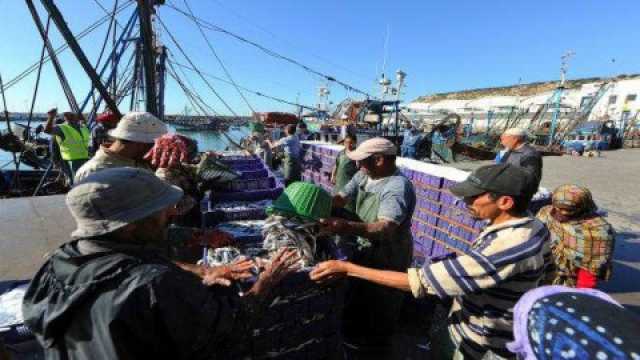 اتفاق الصيد البحري المغربي الأوروبي بين الربح والخسارة