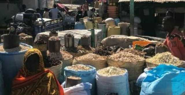 تقرير جديد خطير بشأن السودان