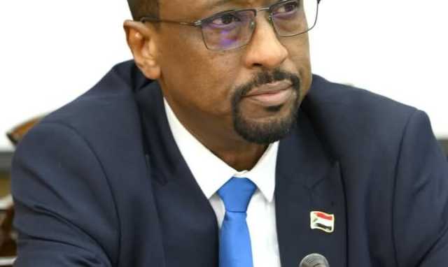 الحكومة السودانية تستدل بشهادة خبراء الأمم المتحدة على دعم الإمارات لقوات الدعم السريع