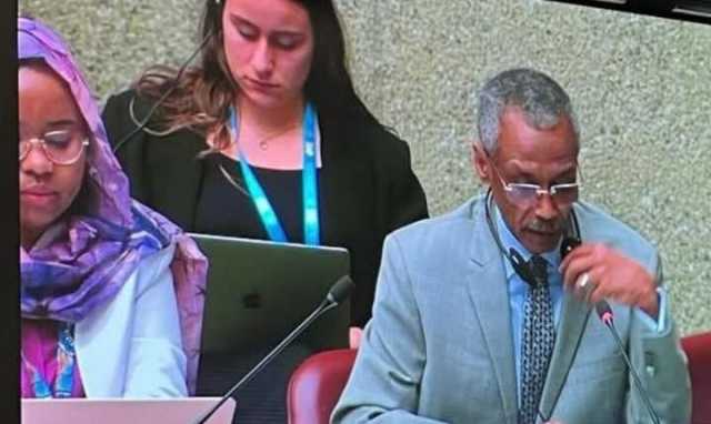 مجلس حقوق الإنسان يعلق على الانتهاكات الجارية في السودان