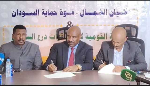 تحالف عسكري جديد بين درع السودان وكيان الشمال
