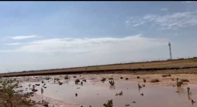 جثث عناصر من “الدعم السريع” طافية على النيل.. إليكم التفاصيل