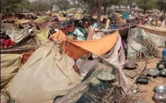 الفاشر: مذبحة متكررة وجرح لا يندمل