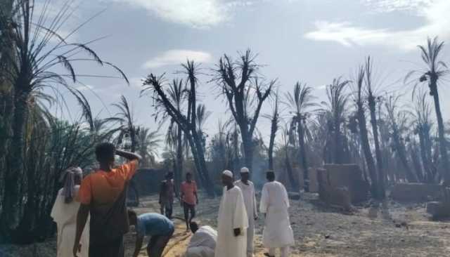 النيران تلتهم مزارع النخيل في شمال السودان
