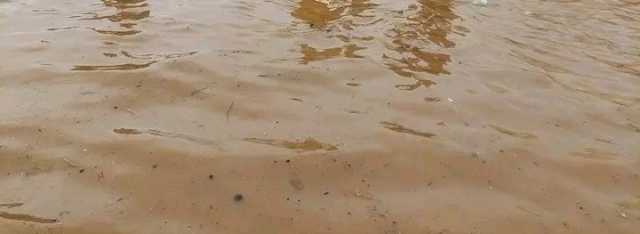ممنوع شرب المياه.. بأمر “الدعم السريع”