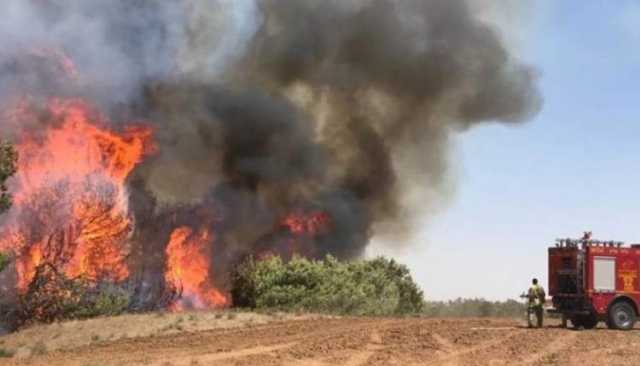 حرائق في مستوطنات غلاف غزة بفعل بالونات متفجرة