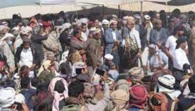 قبائل العوالق تعلن النكف انتقاماً لجريمة تعذيب وقتل أحد أبنائها