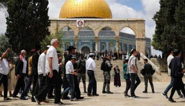 مئات الصهاينة يواصلون استباحة الأقصى ودعوات للنفير طيلة رمضان