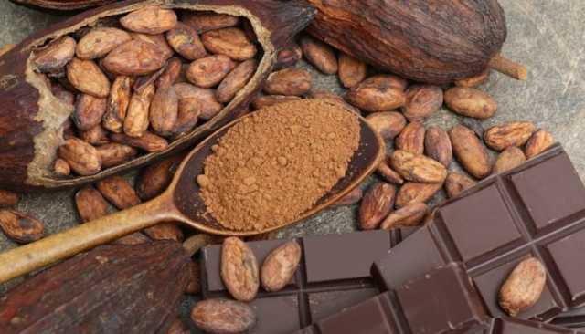 الـ’كاكاو’ أغلى من النحاس!.. الطن بـ 9 آلاف دولار