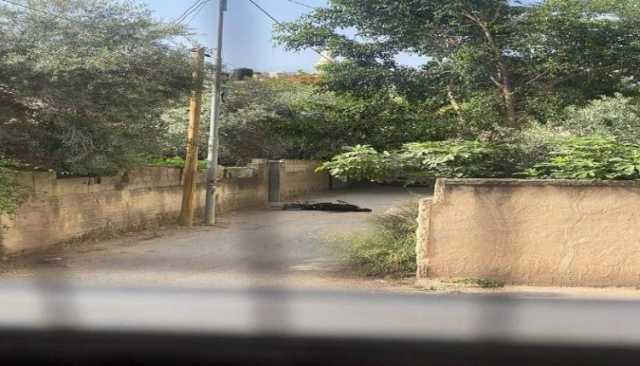 16 شهيدا وجريحا بينهم معلم وطبيب بمجزرة صهيونية جديدة في مخيم جنين