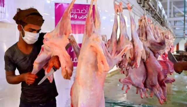 الحديدة.. توزيع أضاحي العيد لـ14 ألف و916 حالة من الفقراء والنازحين والمرضى