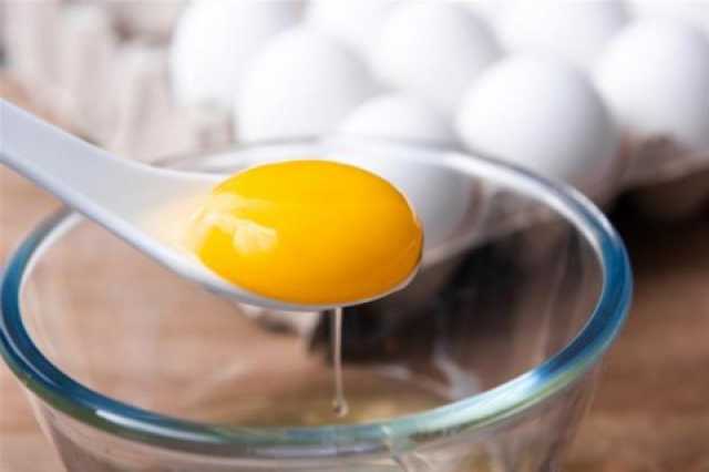 فوائد تناول صفار البيض في السحور: نصائح وتحذيرات