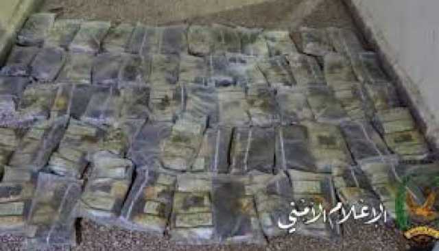 ضبط 623 قالب حشيش في عمران