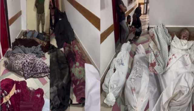 نحو 150 شهيداً وجريحاً في مجازر متوحشة لكيان الاحتلال في غزة خلال الساعات الـ24 الماضية