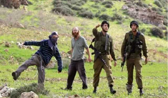 مستوطنون صهاينة يهاجمون مركبات الفلسطينيين في نابلس وقرب الخليل ويصيبون شابا
