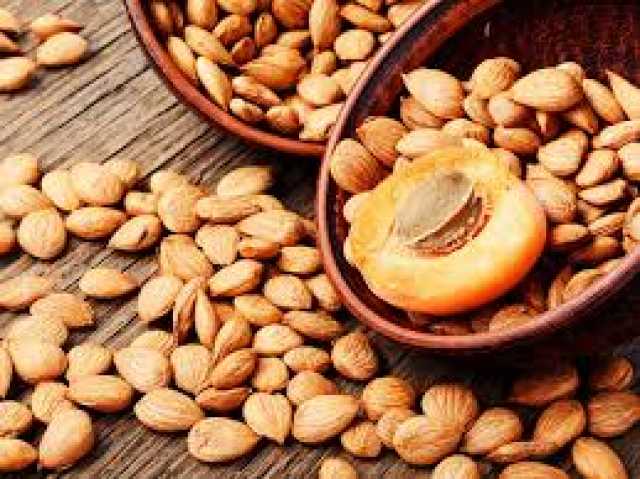 7 فوائد صحية مذهلة لنوى المشمش