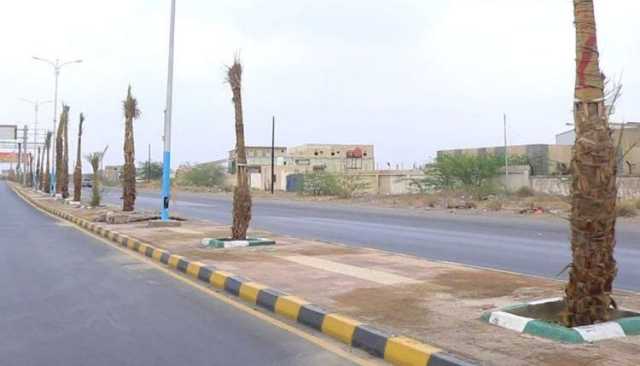الحديدة تتنفس خضرة ونوراً .. غرس 10 آلاف نخلة وإنارة شوارع المدينة بالطاقة الشمسية