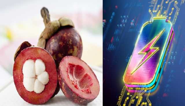 اكتشاف جديد.. تحويل قشور الفاكهة إلى تقنية لتخزين الطاقة