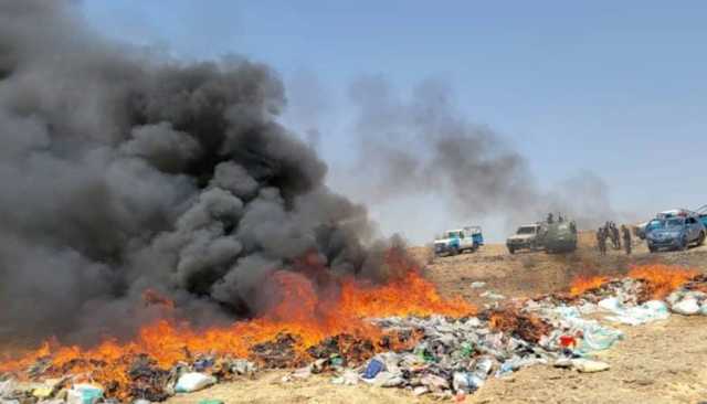 صعدة تتلف أكثر من 17 طناً من الحشيش القادم من مناطق العدوان في أكبر عملية ضبط للعام