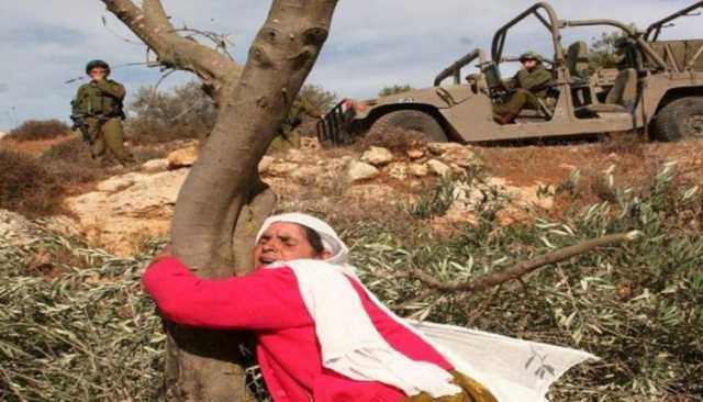 حماس: اعتداء المستوطنين على امرأة فلسطينية أثناء قطف الزيتون جريمة تجسد وحشية الصهاينة