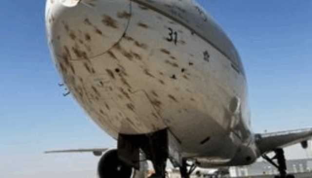 طائرة سعودية تتسبب بـ”مجزرة طيور” في الجزائر بعد اصطدامها بسرب من الطيور