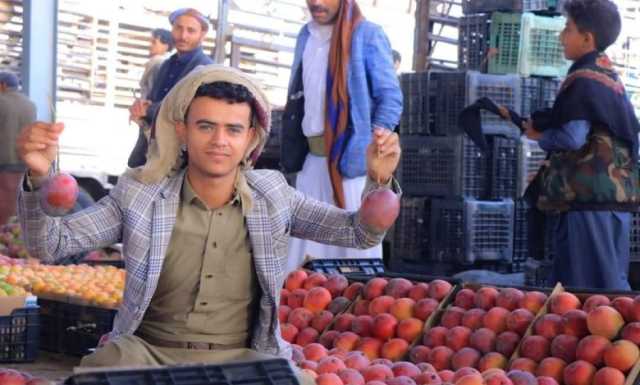 تقرير: نضوب مصادر دخل معظم الفئات العاملة في اليمن