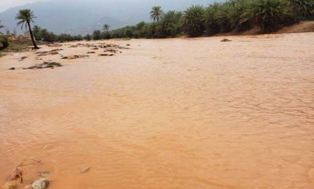 أحوال الطقس…أمطار رعدية تمتد إلى صحاري حضرموت والمهرة وسهل تهامة
