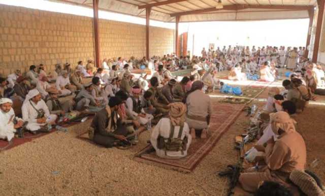 مارب.. قبائل عبيدة تؤكد استعدادها لمعركة التحرير وتطالب بإنهاء التهميش والإقصاء